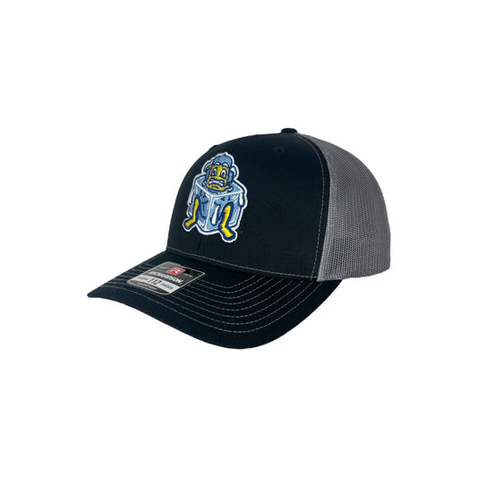 Fish Sticks Ice Cube Grey & Black Richardson Trucker Hat