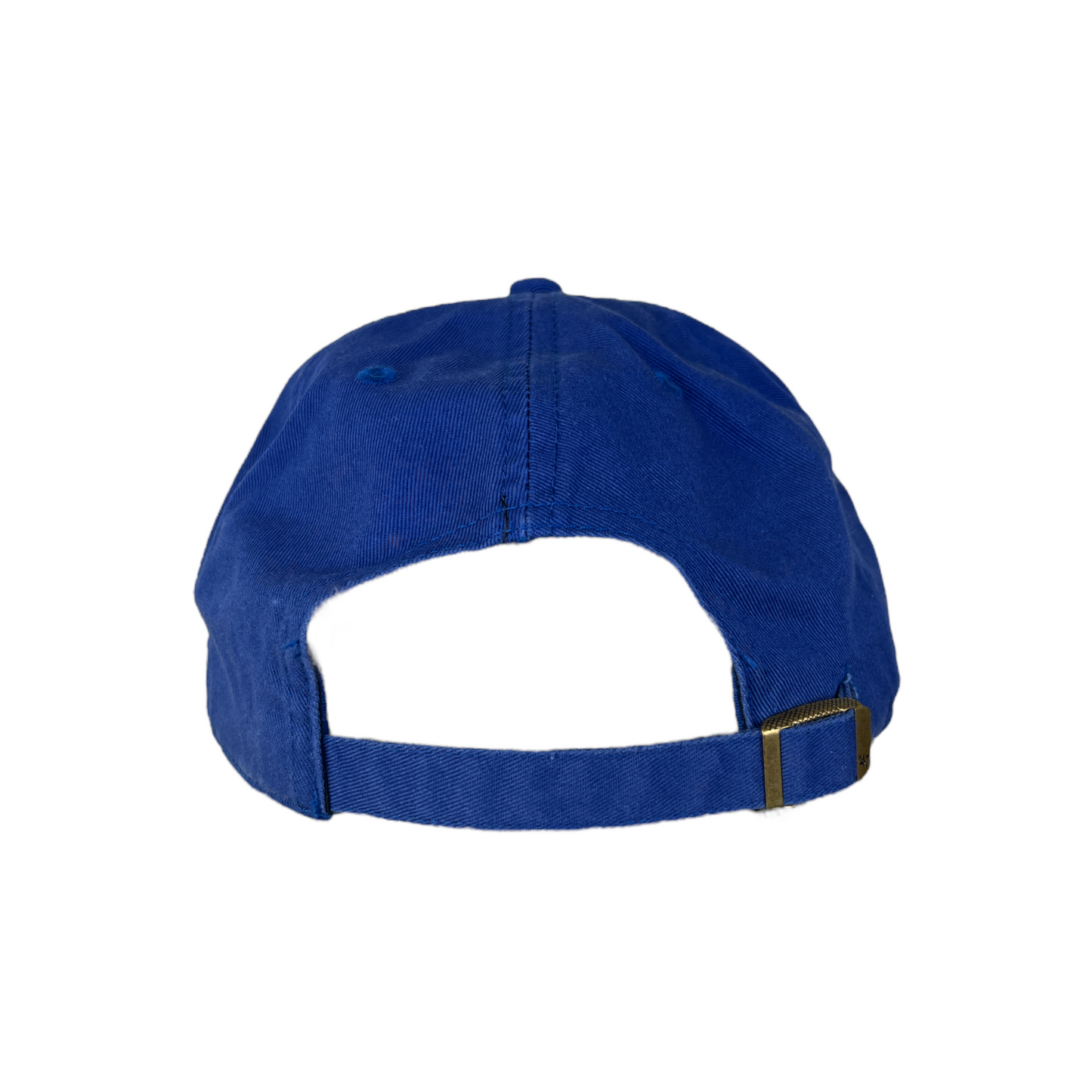 Adjustable back for the Minor league baseball dad hat for the DubSea Fish Sticks.
